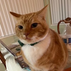 Meet your Posher, Jenny